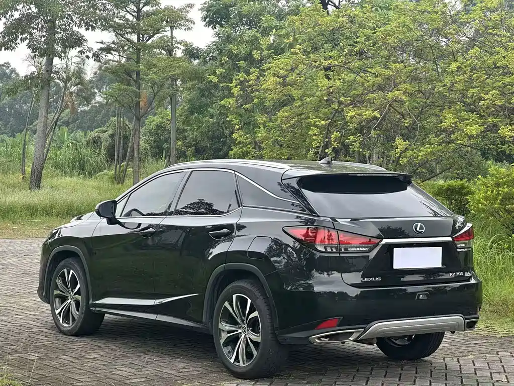 Lexus RX — фото 7