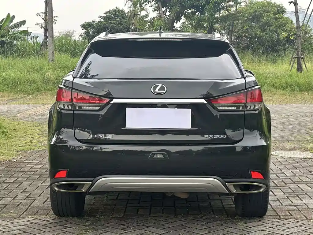 Lexus RX — фото 8