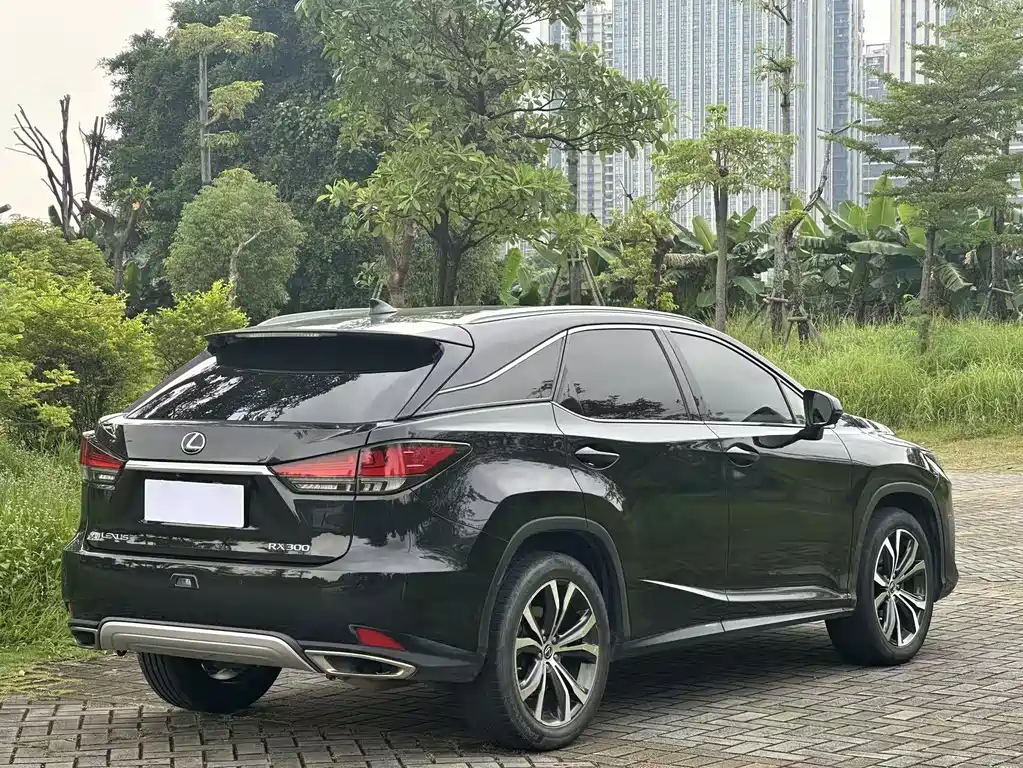 Lexus RX — фото 9