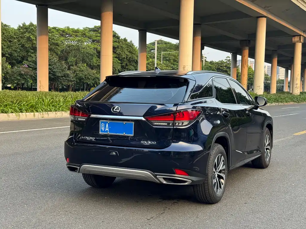 Lexus RX — фото 3