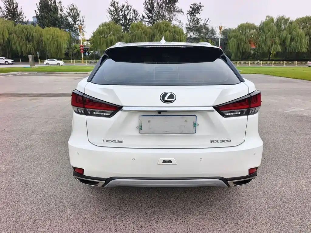 Lexus RX — фото 6