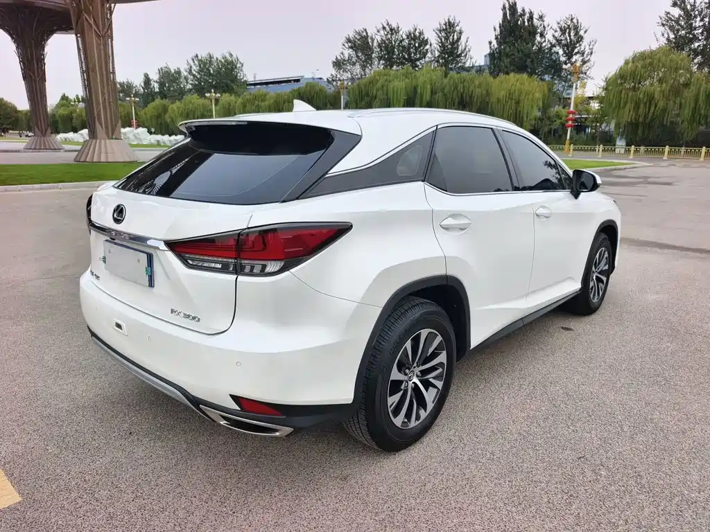 Lexus RX — фото 7