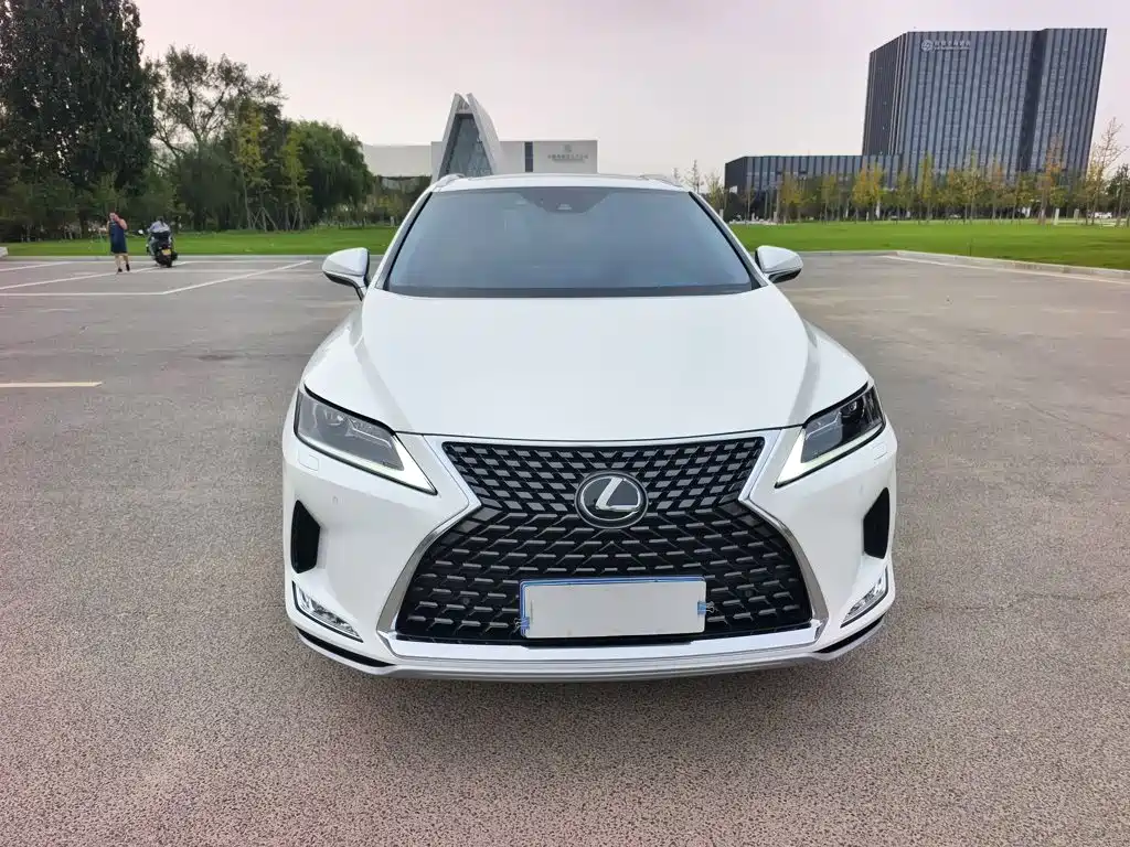 Lexus RX — фото 10