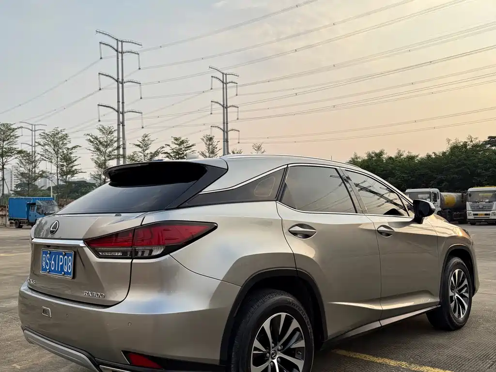 Lexus RX — фото 11