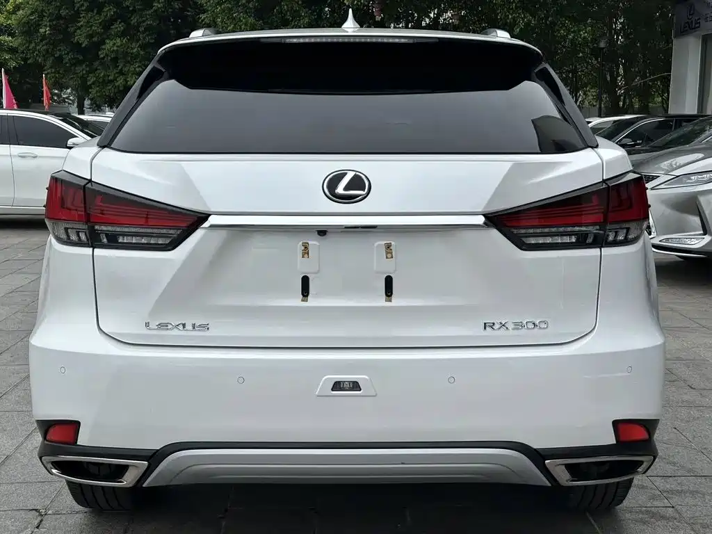 Lexus RX — фото 4