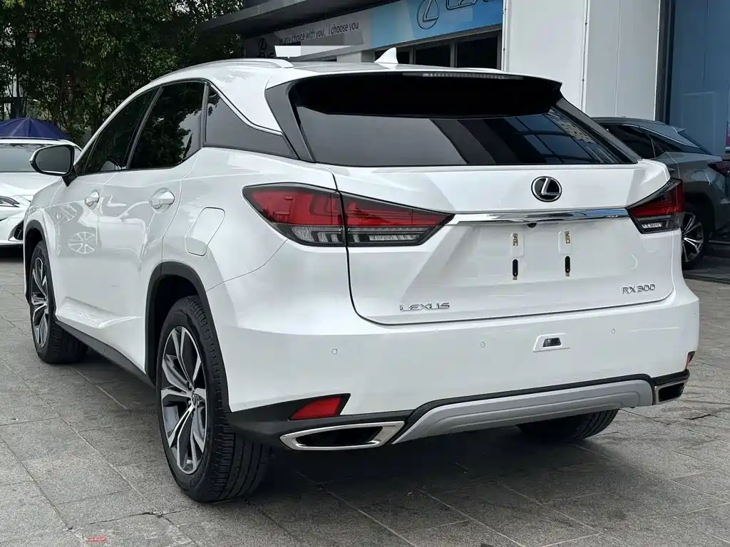 Lexus RX — фото 6