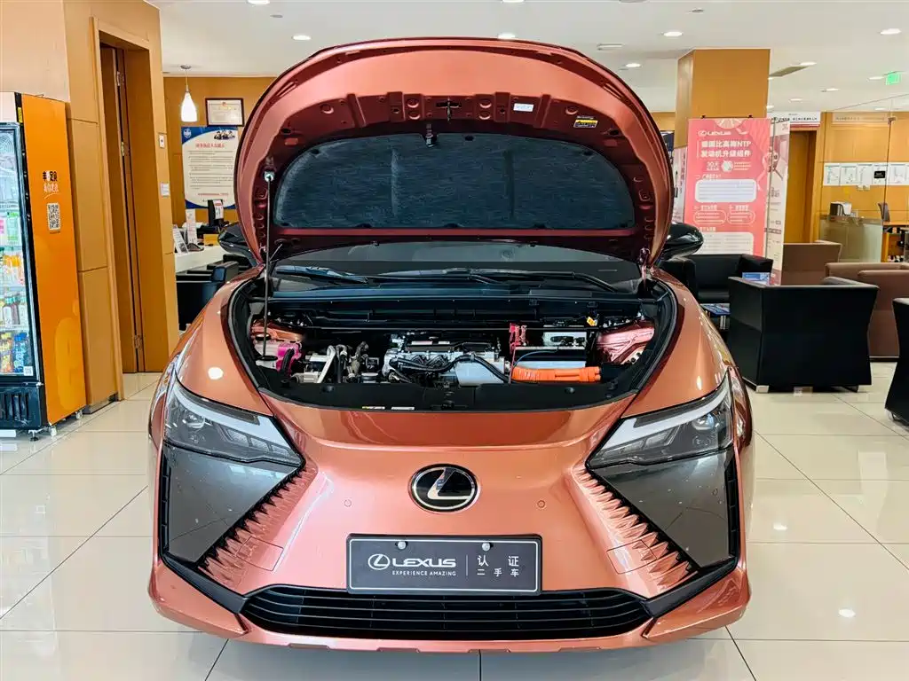 Lexus RZ — фото 8