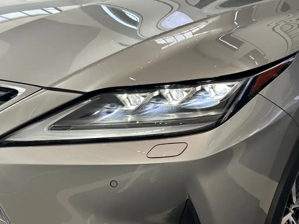Lexus RX — фото 21