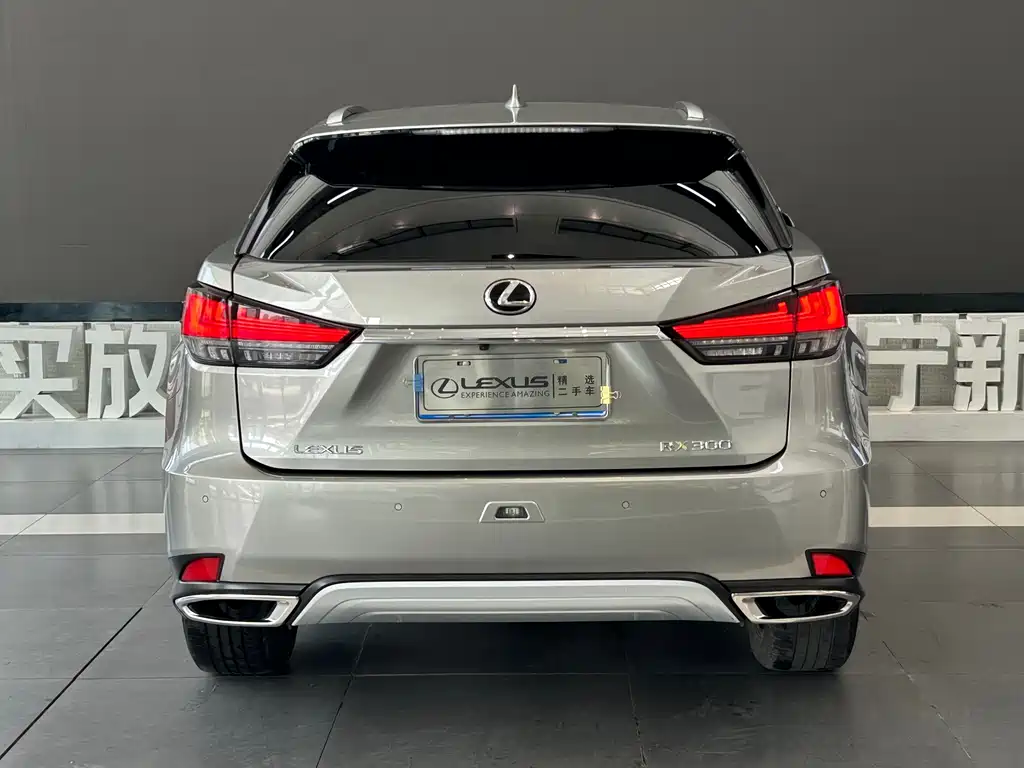 Lexus RX — фото 5