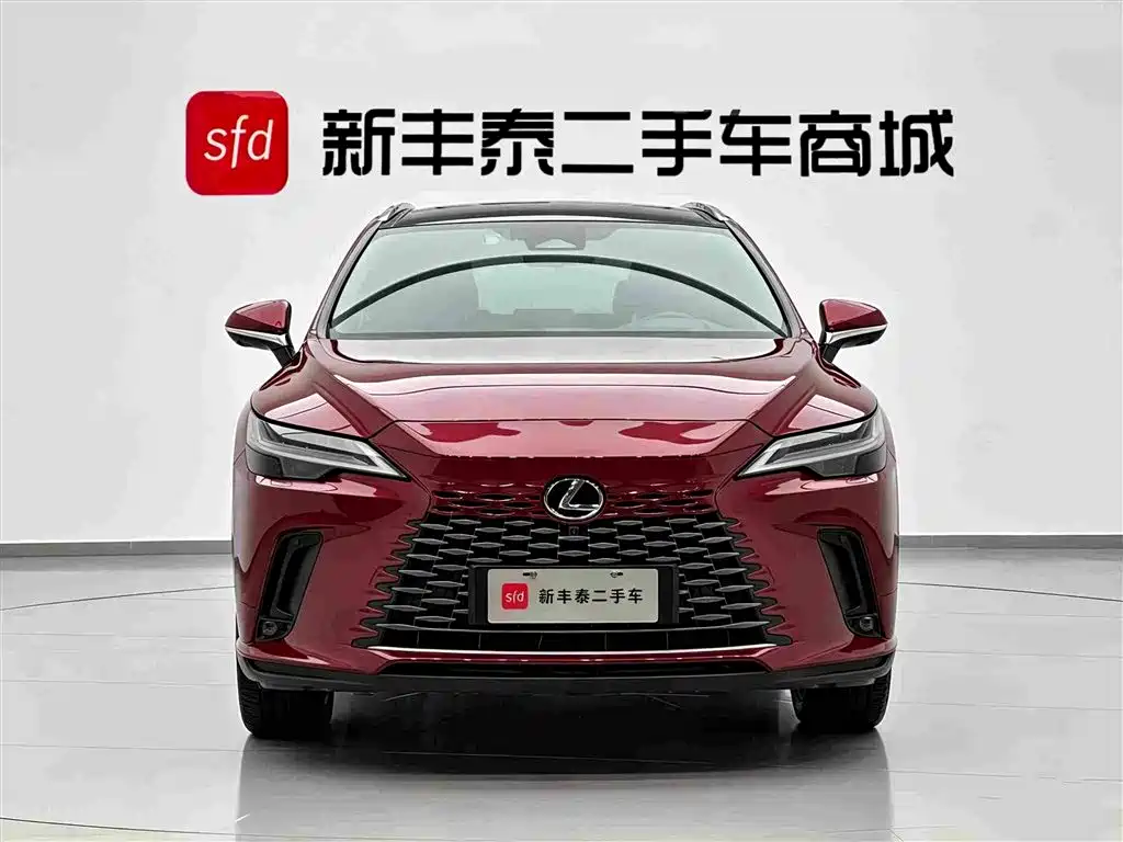 Lexus RX New Energy — фото 2