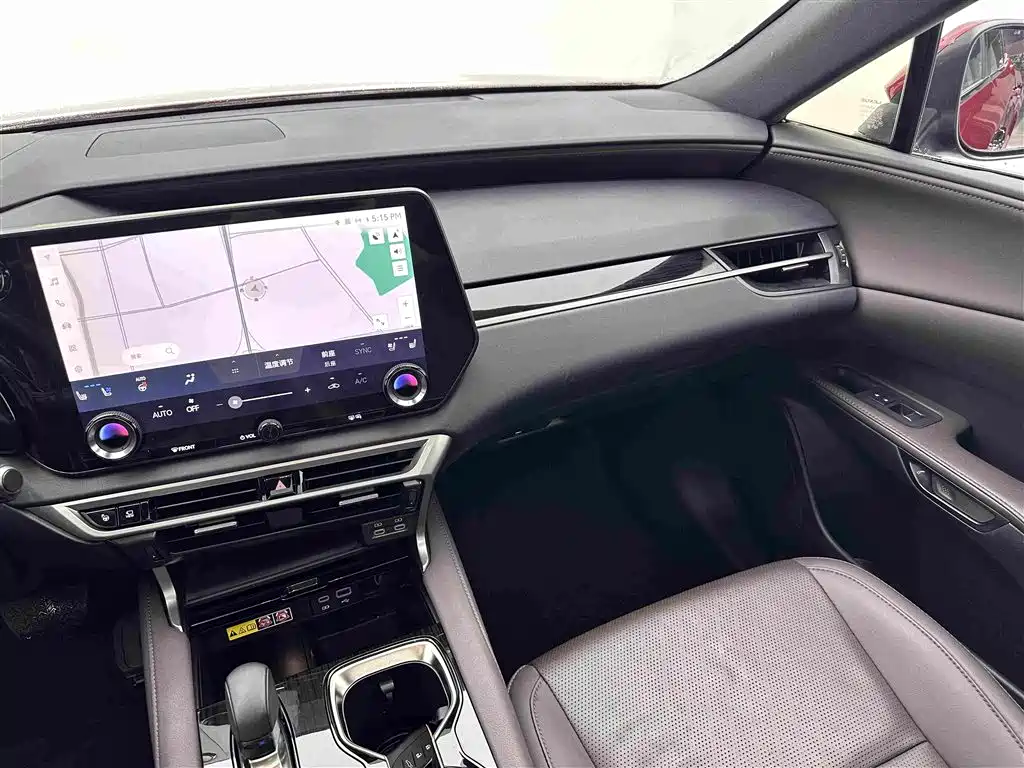 Lexus RX New Energy — фото 13