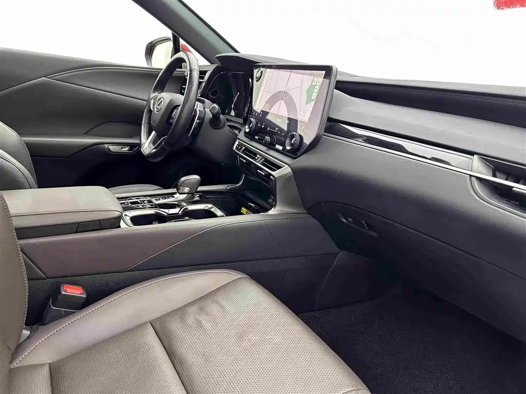Lexus RX New Energy — фото 17