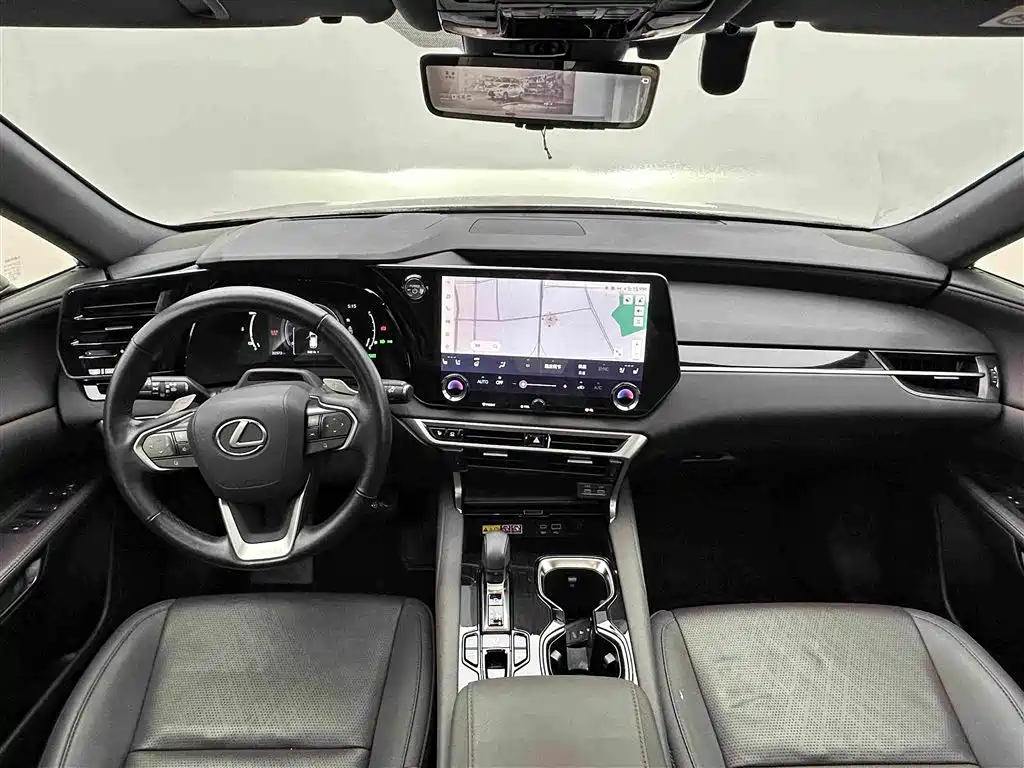 Lexus RX New Energy — фото 18