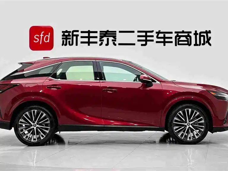Lexus RX New Energy — фото 3