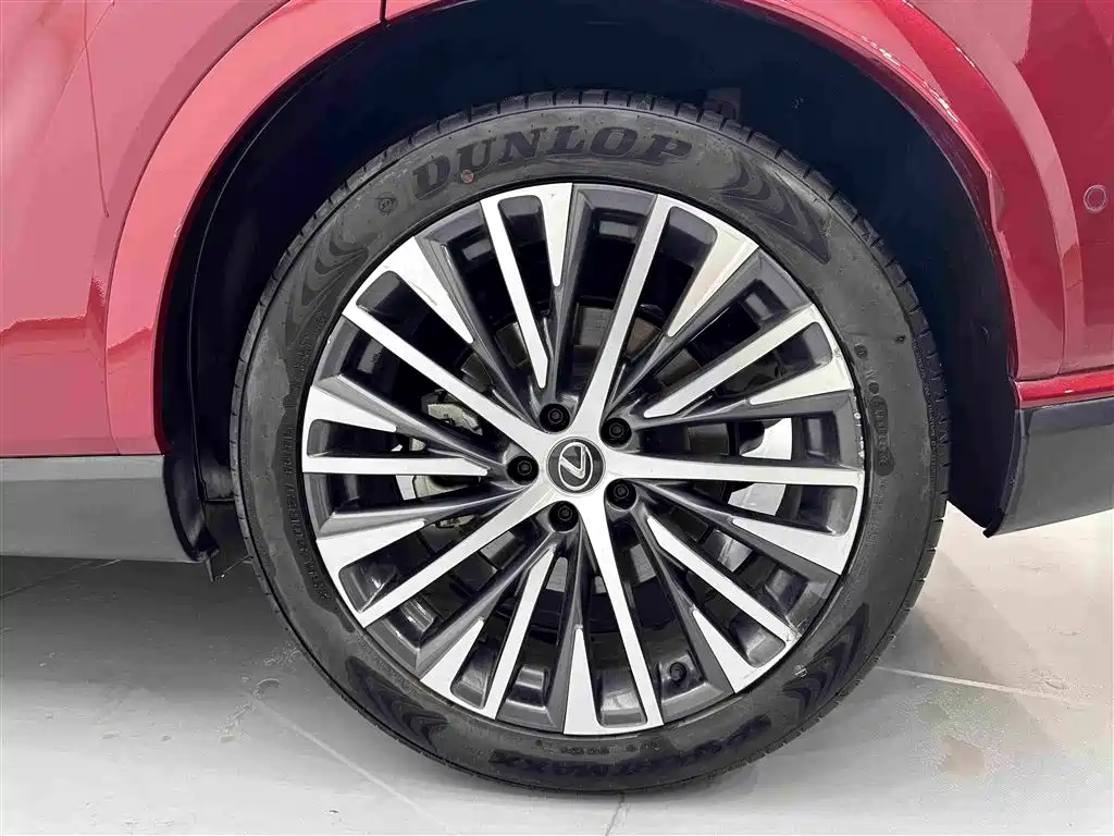 Lexus RX New Energy — фото 28