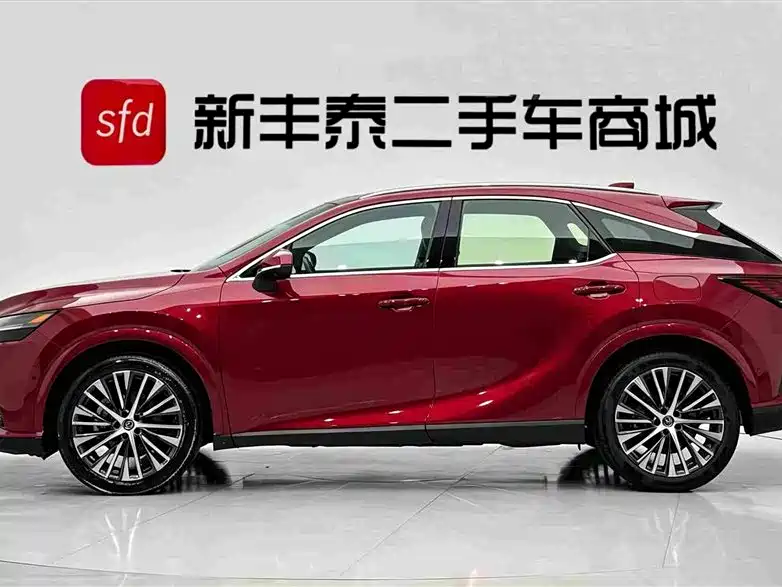 Lexus RX New Energy — фото 4