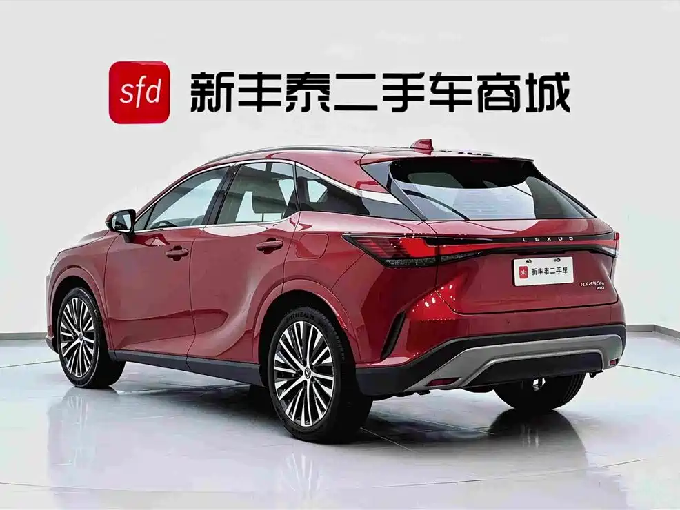 Lexus RX New Energy — фото 6