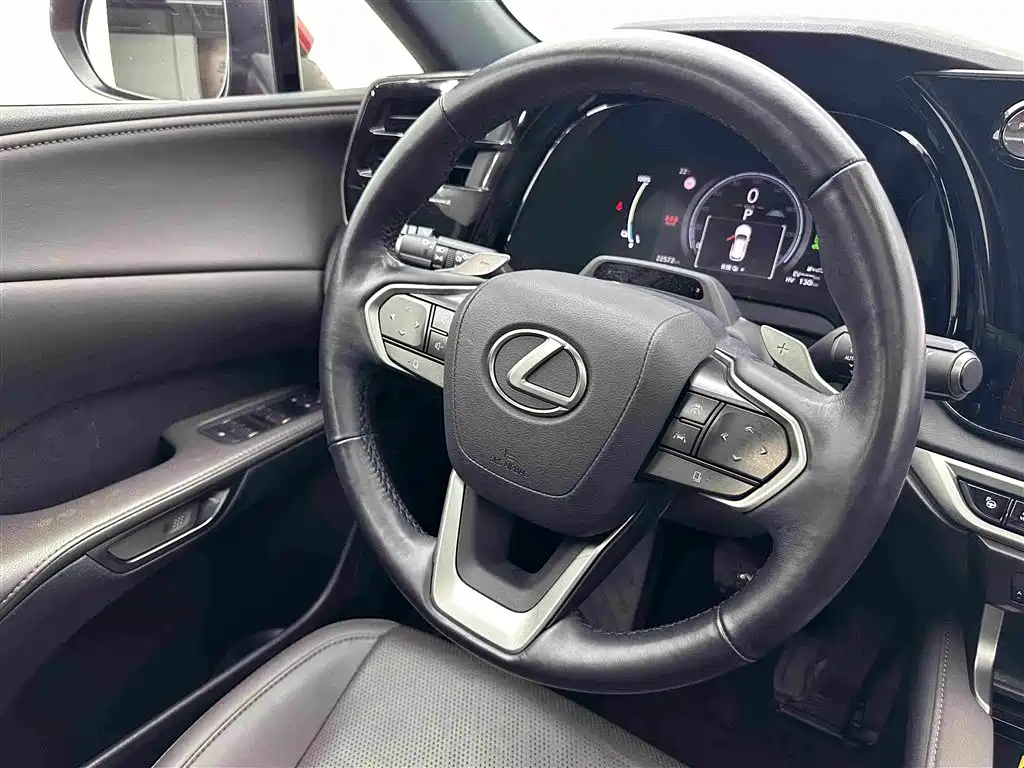 Lexus RX New Energy — фото 9