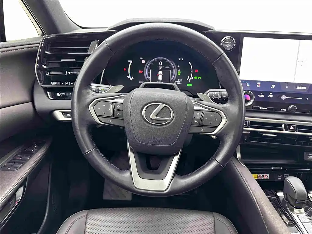 Lexus RX New Energy — фото 10
