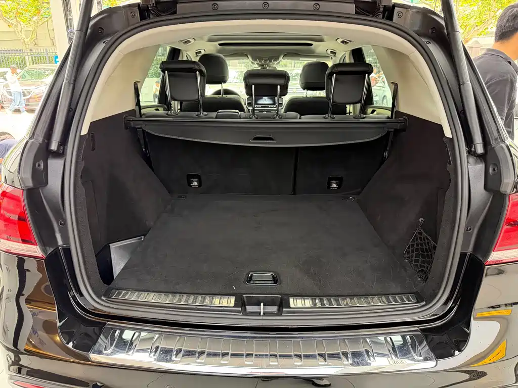 Mercedes-Benz GLE (Import) — фото 20