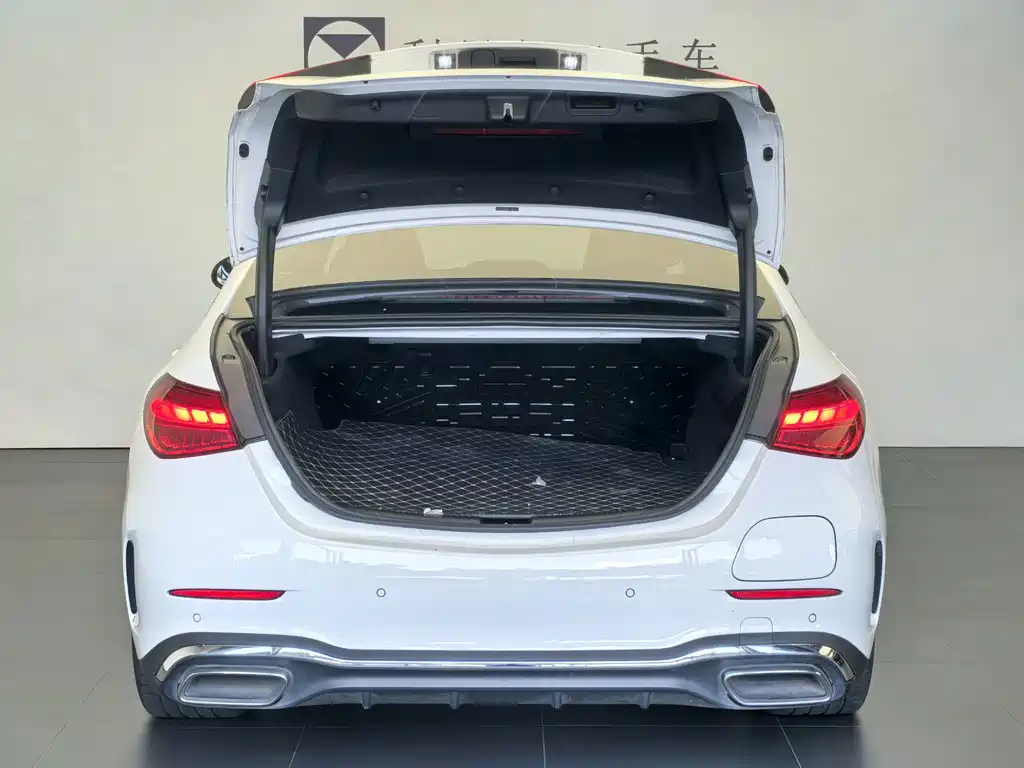 Mercedes-Benz C-Class New Energy — фото 7