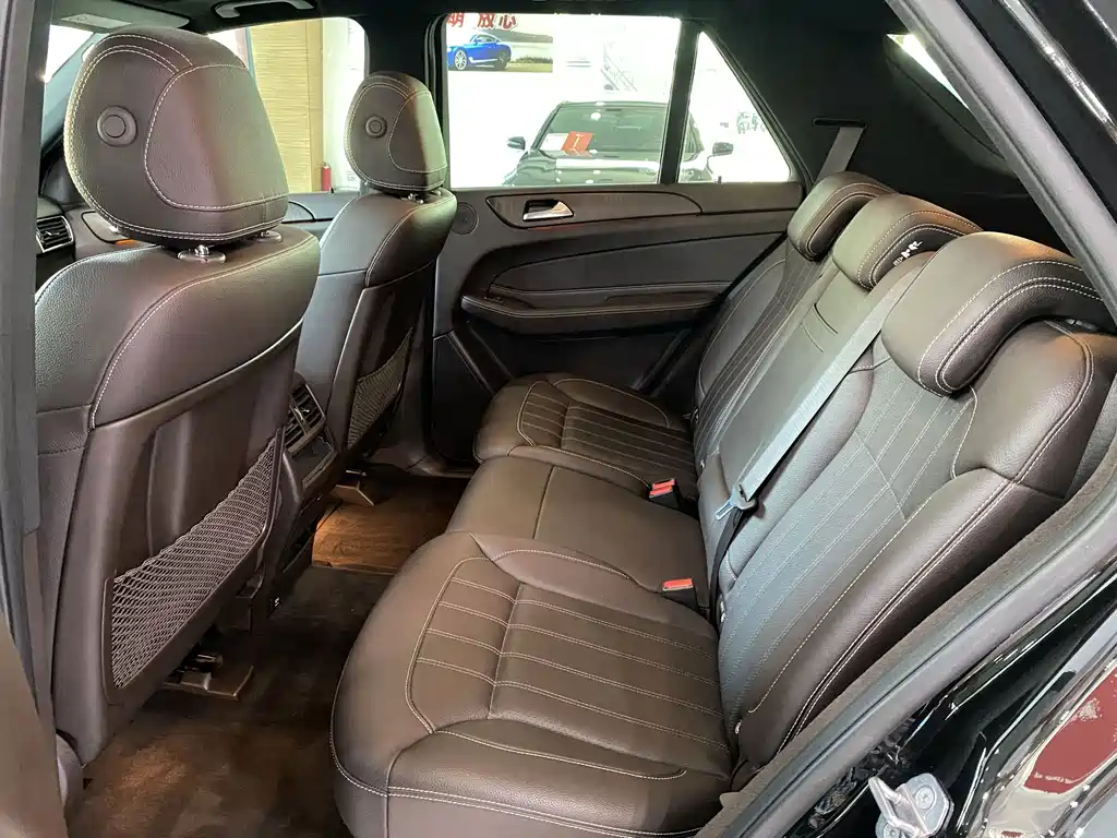 Mercedes-Benz GLE (Import) — фото 10