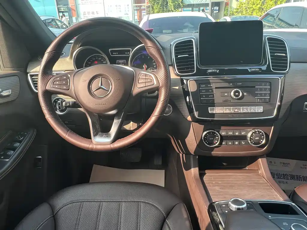 Mercedes-Benz GLE (Import) — фото 10