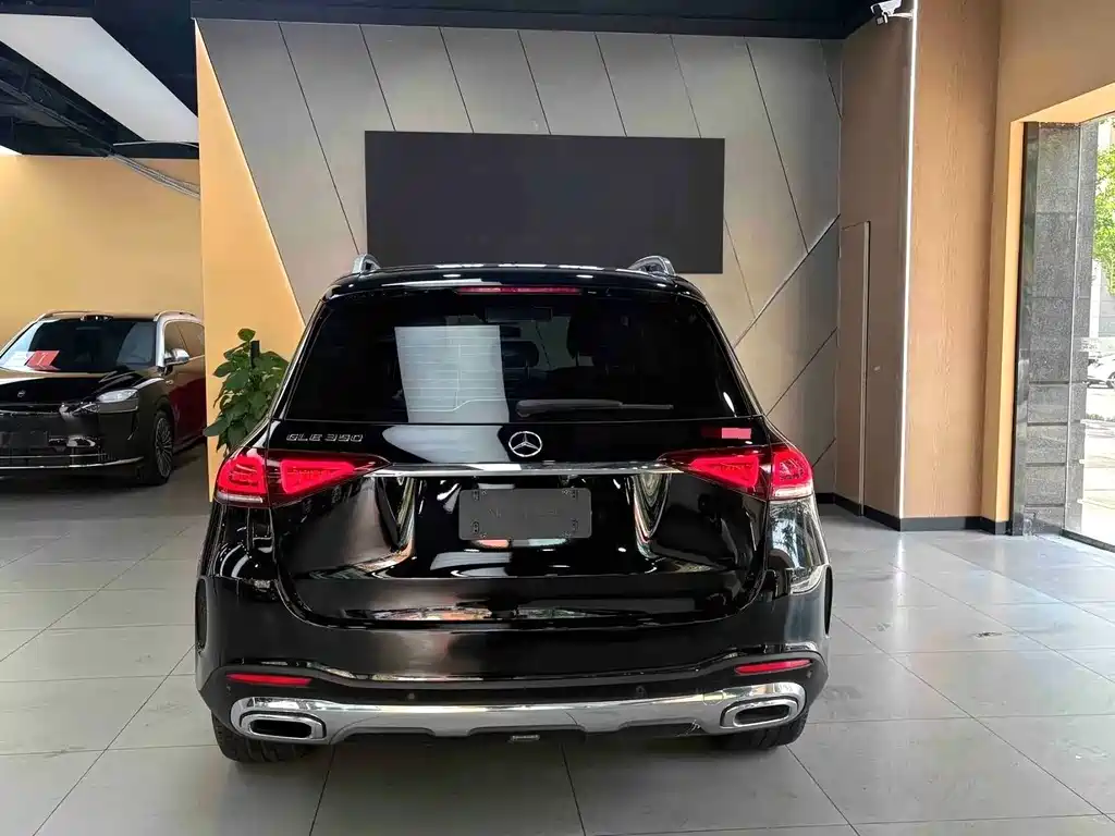 Mercedes-Benz GLE (Import) — фото 8