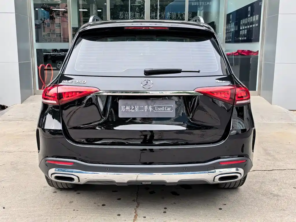 Mercedes-Benz GLE (Import) — фото 10