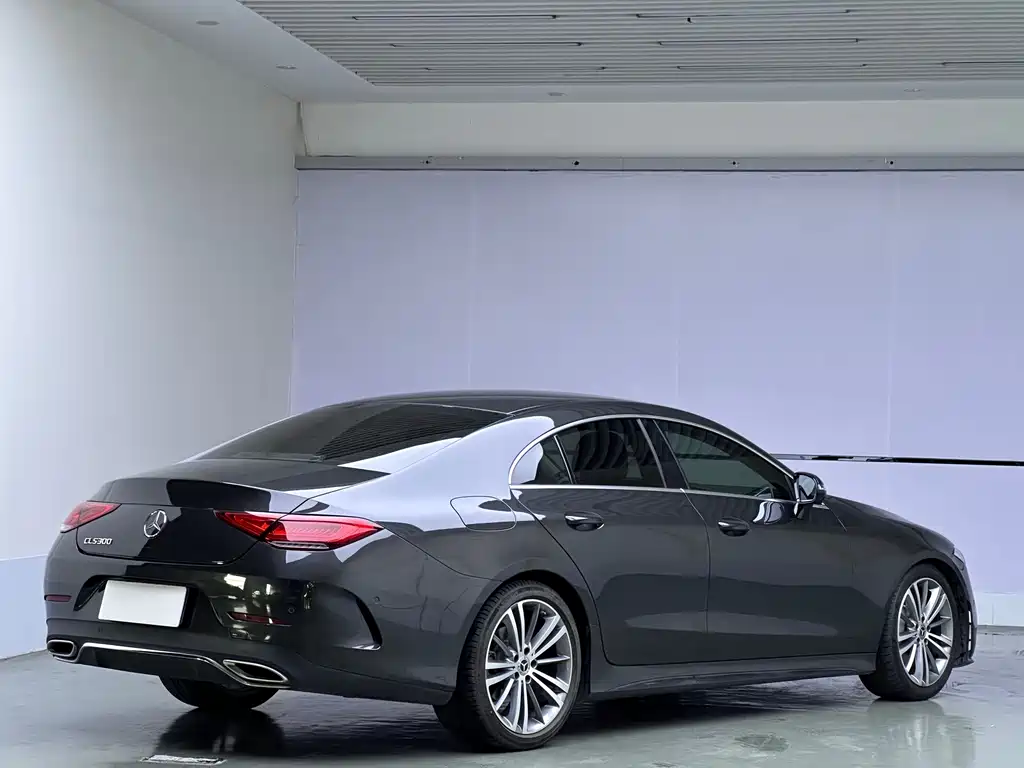 Mercedes-Benz CLS — фото 6