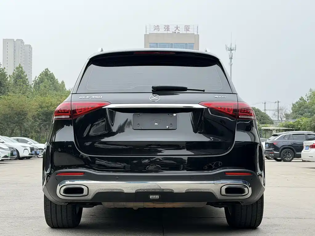 Mercedes-Benz GLE (Import) — фото 8