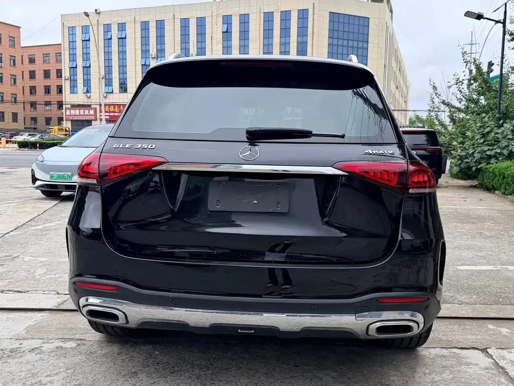 Mercedes-Benz GLE (Import) — фото 3