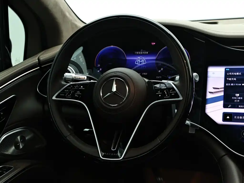 Mercedes-Benz EQS SUV — фото 14