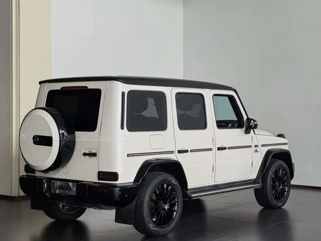 Mercedes-Benz G-Class — фото 18