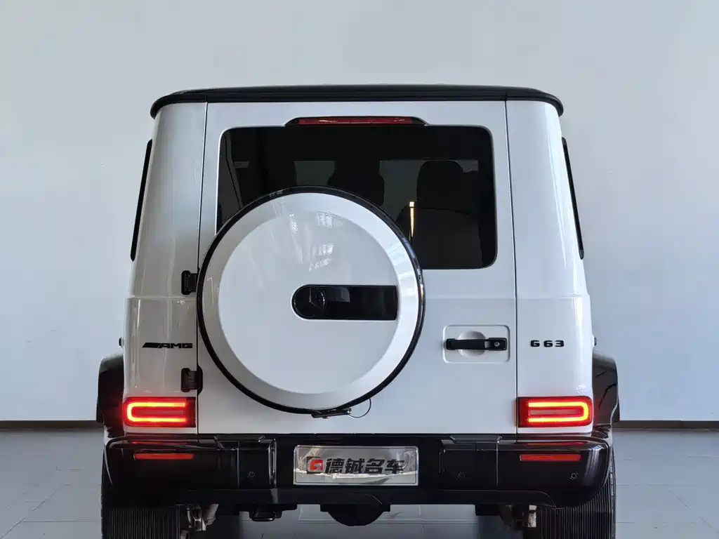 Mercedes-Benz G-Class AMG — фото 14