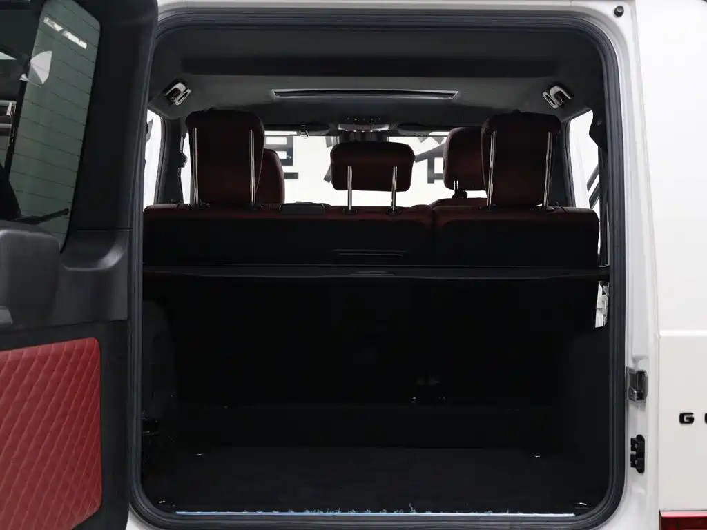 Mercedes-Benz G-Class AMG — фото 11