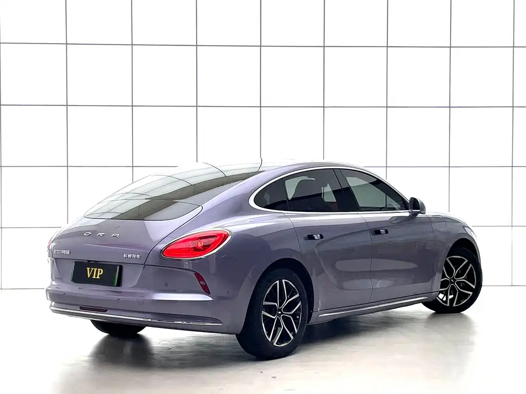 Ora Ora Lightning Cat — фото 6