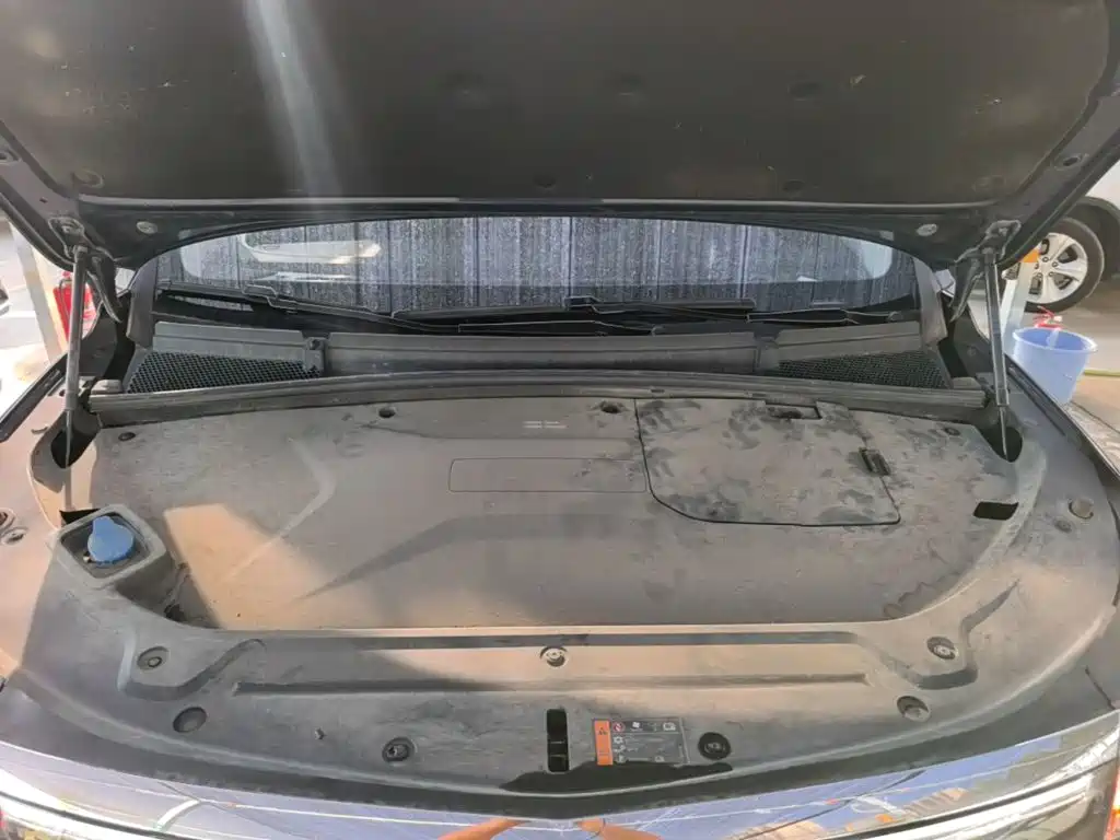 Roewe iMAX8 New Energy — фото 20