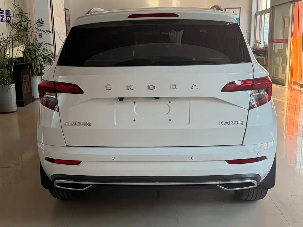 Skoda Karoq — фото 5