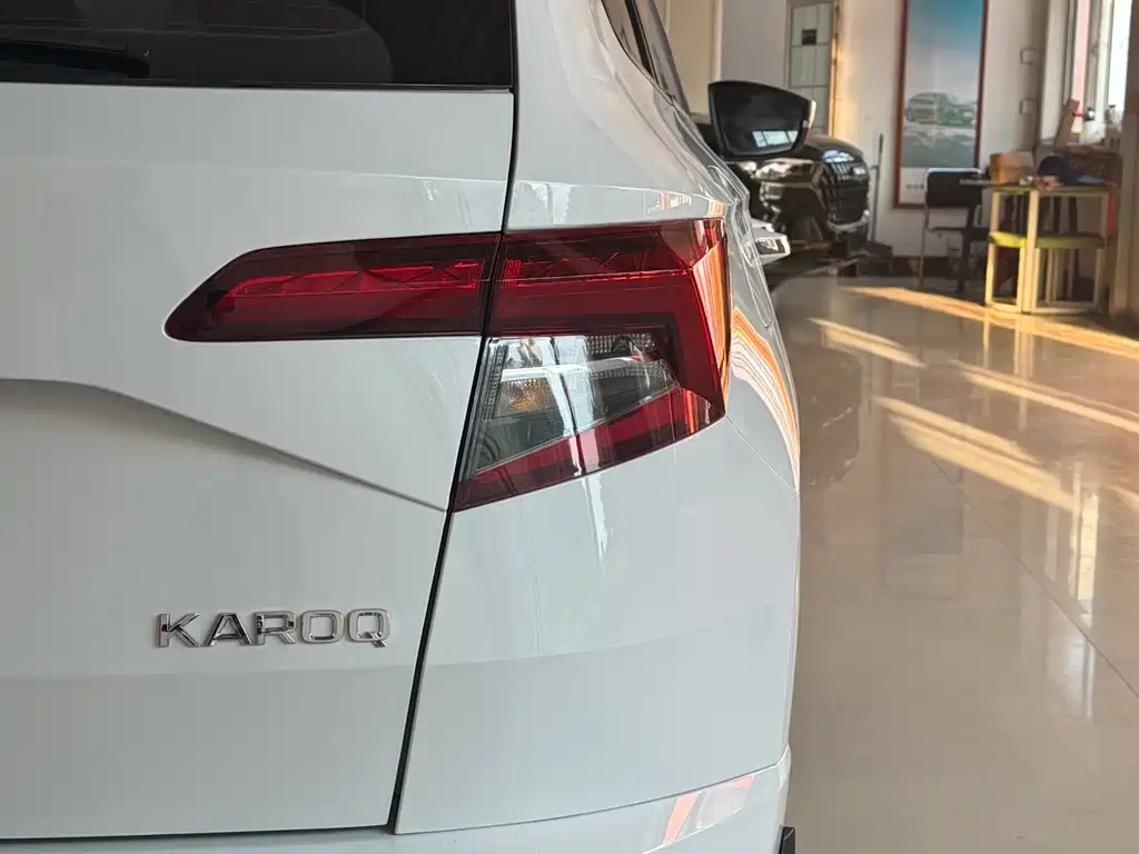 Skoda Karoq — фото 8