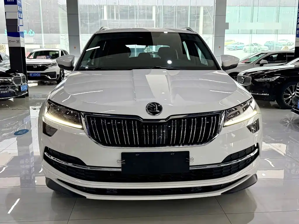 Skoda Karoq — фото 2