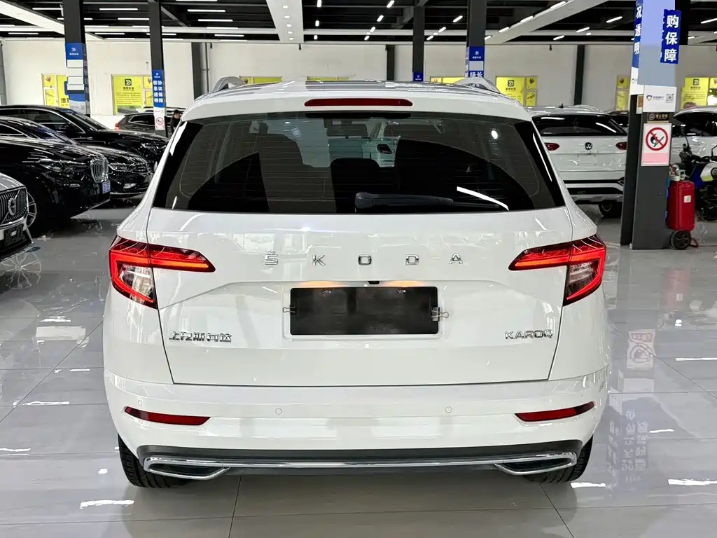Skoda Karoq — фото 11