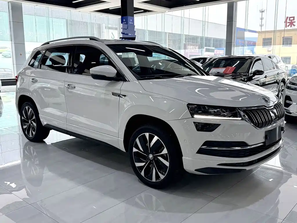 Skoda Karoq — фото 3