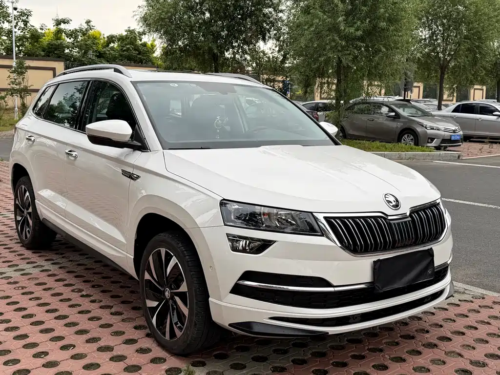Skoda Karoq — фото 3