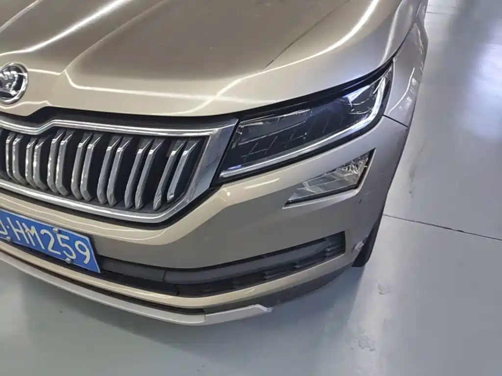 Skoda Kodiaq — фото 24