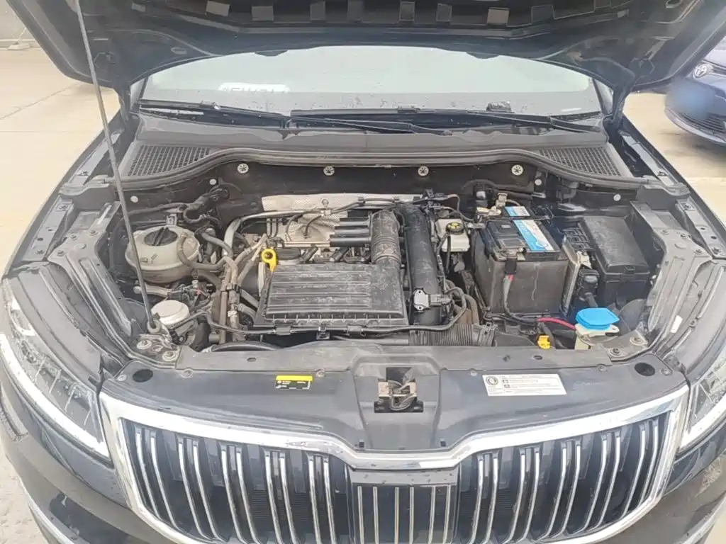 Skoda Karoq — фото 20