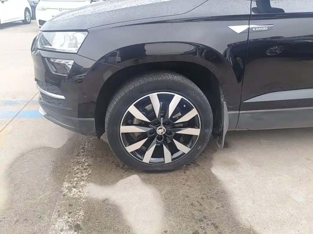 Skoda Karoq — фото 23