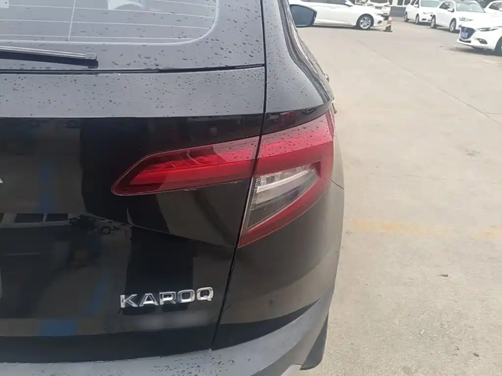 Skoda Karoq — фото 8