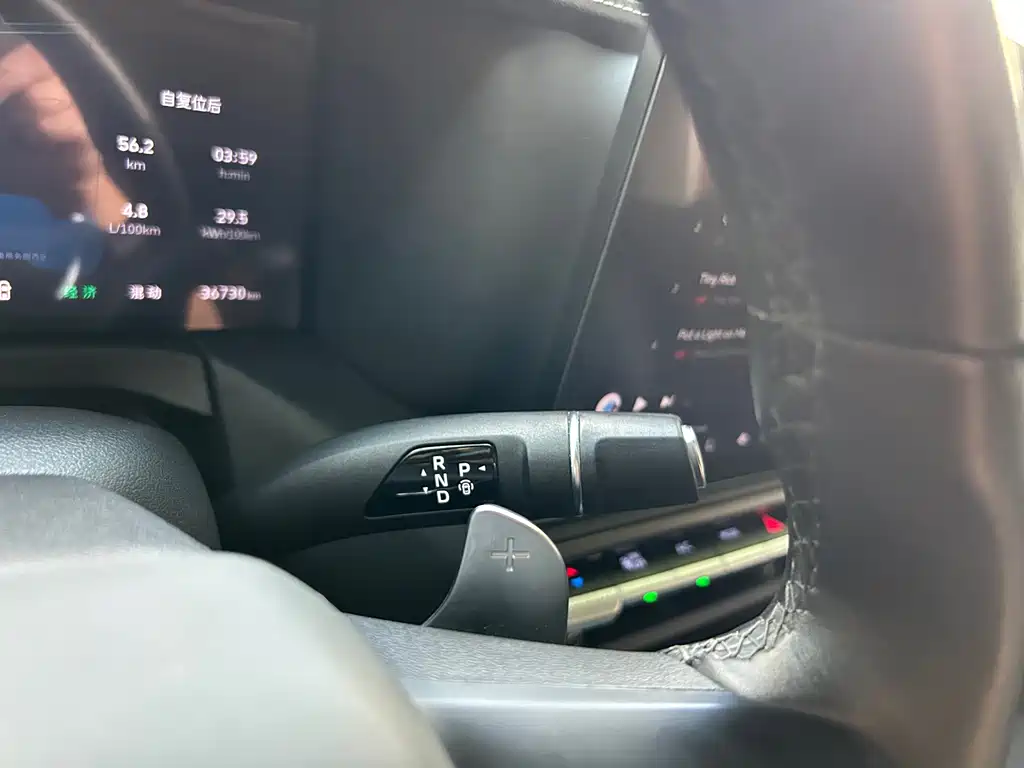 Tank Tank 300 New Energy — фото 17