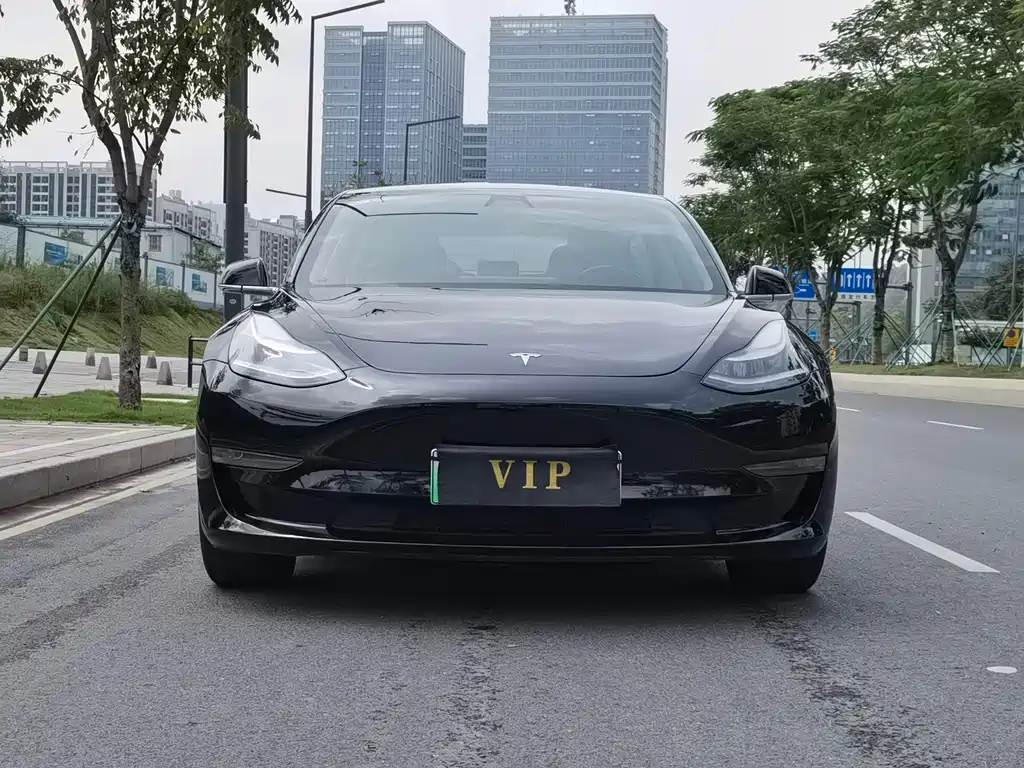 Tesla Model 3 — фото 2
